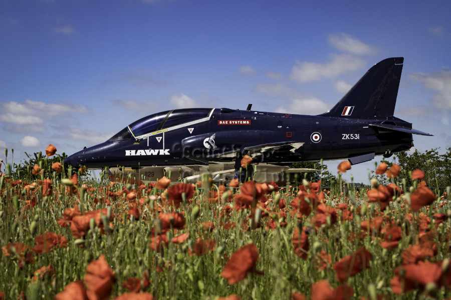 Hawk jet and poppies